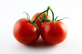 three Tomato Red