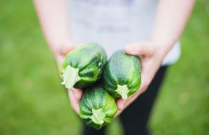 Zucchinis Vegetables