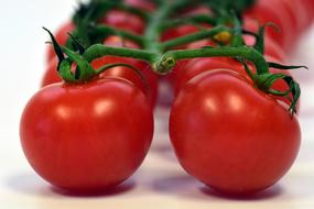 juicy Tomatoes Fresh Food