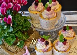 Colorful Cupcake Muffins and beautiful pink and white flowers