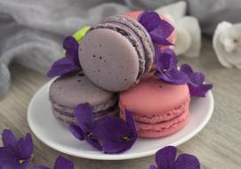 Macaroons Macro
