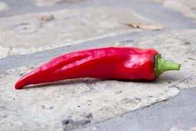 fresh red paprika pepper on grey Brick