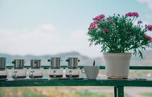 Flower and Coffee Table