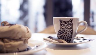 Coffee Cup with owl drawing