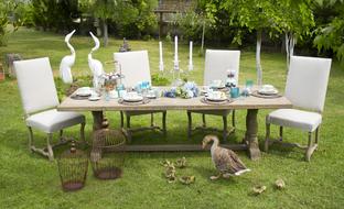goose and goslings near served table on lawn