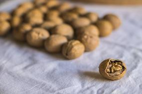 excellent Walnut Food