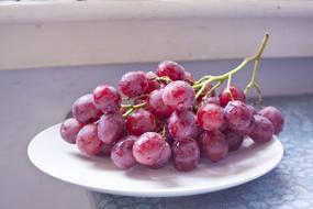 bunch of blue grapes on a white plate