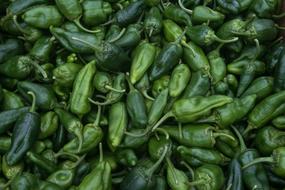 harvest of fresh green pepper