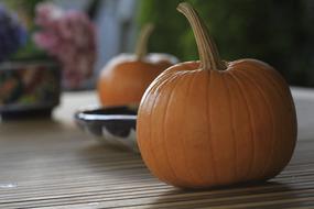 tasty autumn pumpkin on the table