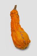 orange Decorative Pumpkins Color