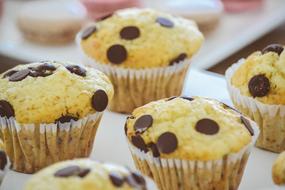 fresh muffins with pieces of chocolate