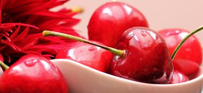 ripe cherry and red flowers