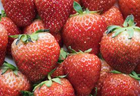 macro photo of organic red strawberries