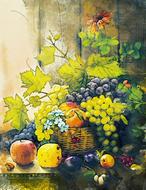 drawn basket with fruits