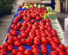 Tomatoes and other colorful vegetables and fruits