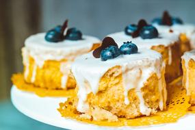 cream and blueberry cake on a white plate close-up on a blurred background