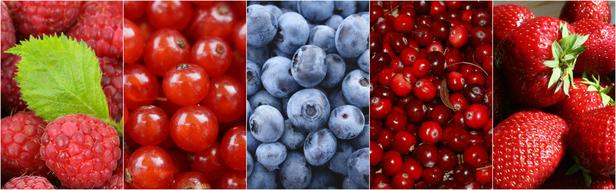 photo of juicy ripe berries on the wallpaper