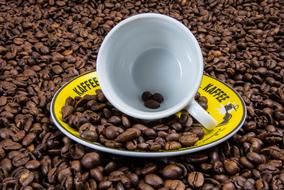 cup on a saucer and roasted coffee beans