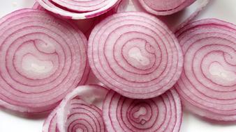 excellent Onion Red