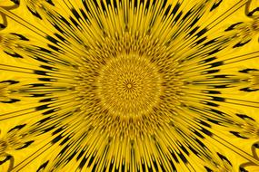psychedelic yellow pattern