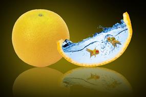 fantasy orange fruit and fish drawing