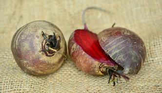 Beetroot close-up on a blurred background