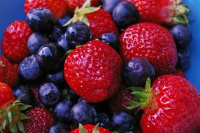 excellent Berries Red and blue