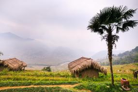 village in scenic foggy mountain valley, vietnam