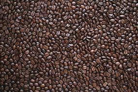 Coffee Beans Texture background