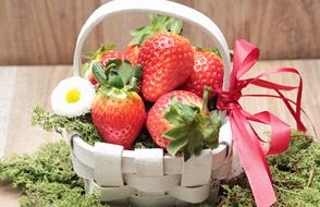 wicker basket with strawberries on green moss