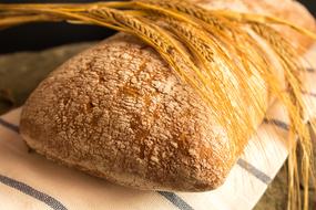 Bread fresh harvest