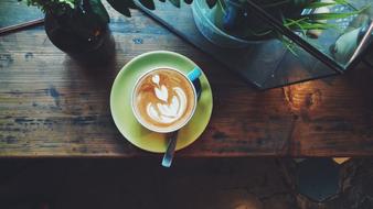 hot cappuccino with a beautiful pattern on the foam