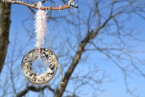 seeds are tied on a winter tree for bird feed in California