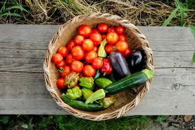 Harvest Tomato and vegetables