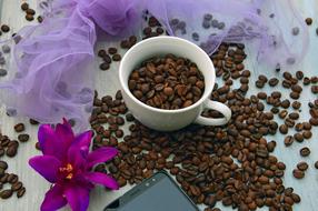 coffee beans in a white cup as a still life