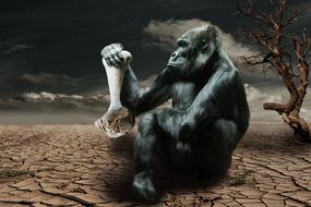 gorilla with bone in paw, hunger, collage