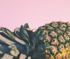 ripe pineapple on a pink background