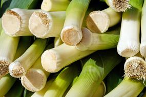 green Leek Vegetable