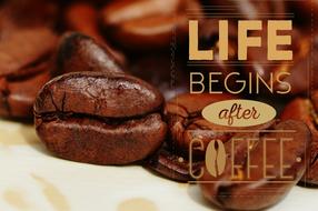 life begins after coffee as a inscription