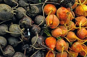 Beets Vegetables