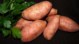 sweet potatoes and parsley on the table