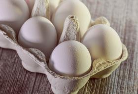 white eggs in a cardboard box
