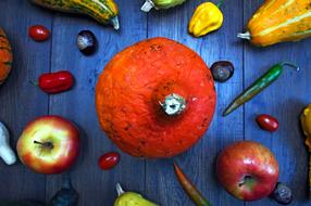 Decorative Pumpkins Orange