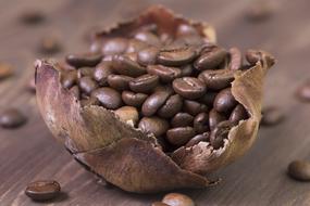 Coffee Beans Roasted brown