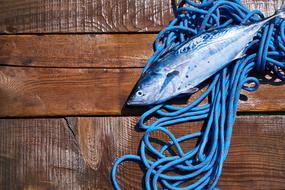 Fish Food rope blue