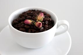 coffee beans and dry rosebuds in a cup