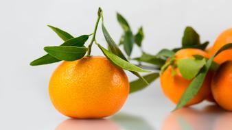 Beautiful, orange mandarins with green leaves on the white surface