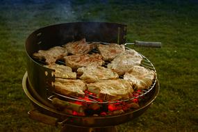 Meat Barbecue grilling