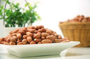 Food Peanuts on plate