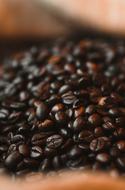 dark roaster Coffee beans